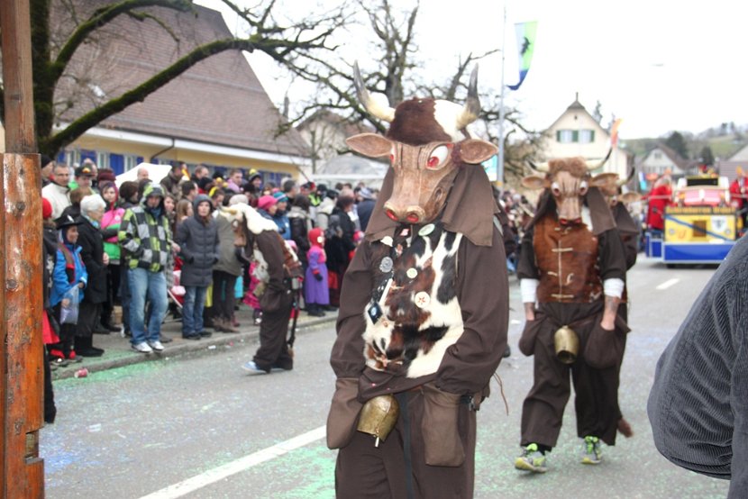 Sarmenstorf Fasnachtsumzug 16.02.2014 (55)